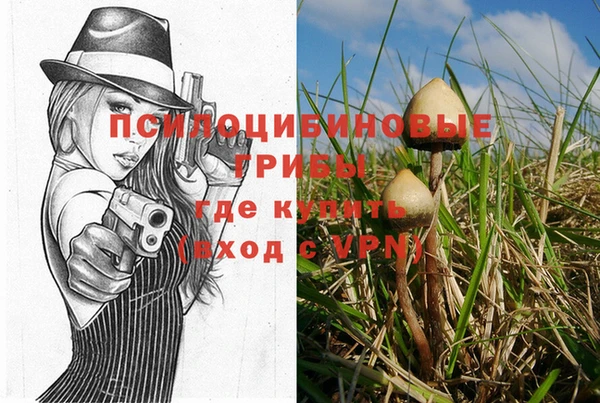 круглые Бронницы