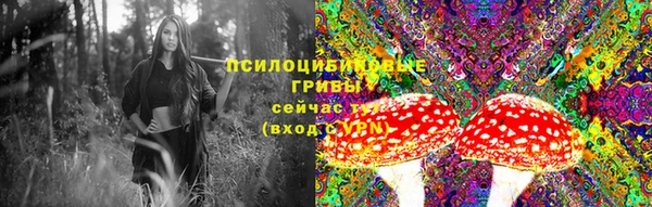 PSILOCYBIN Бугульма