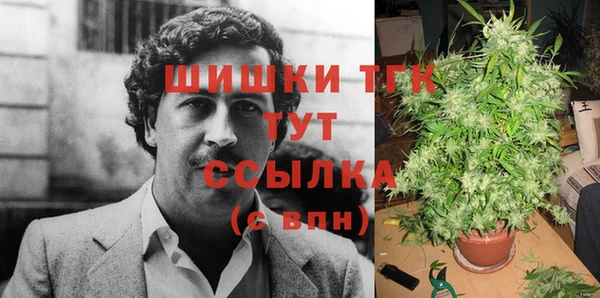 СК Богданович