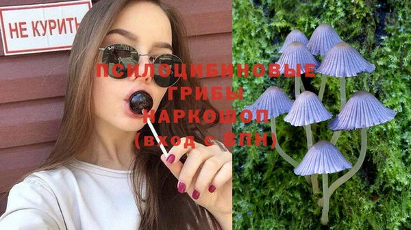 PSILOCYBIN Бугульма