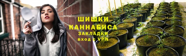 амф Богородицк