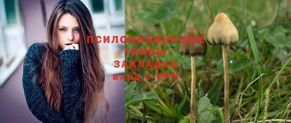 амф Богородицк
