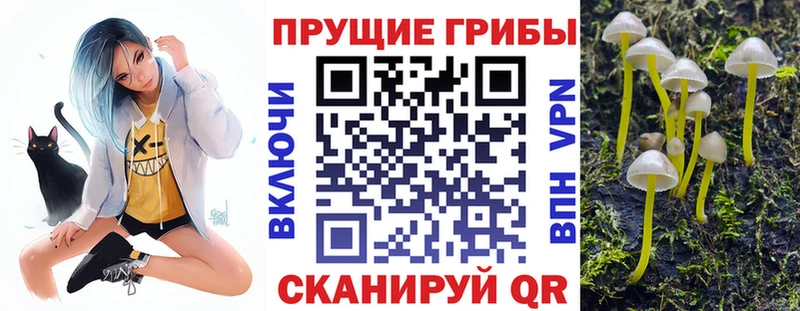 Галлюциногенные грибы MAGIC MUSHROOMS  Разумное 